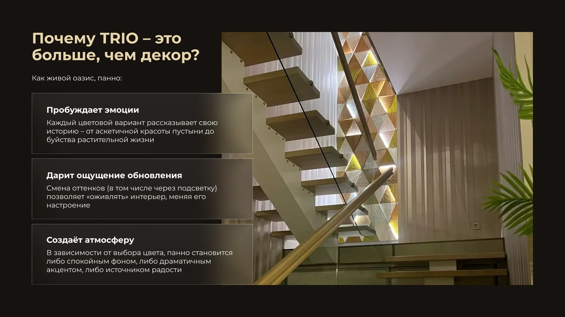 Salbero — секция 10